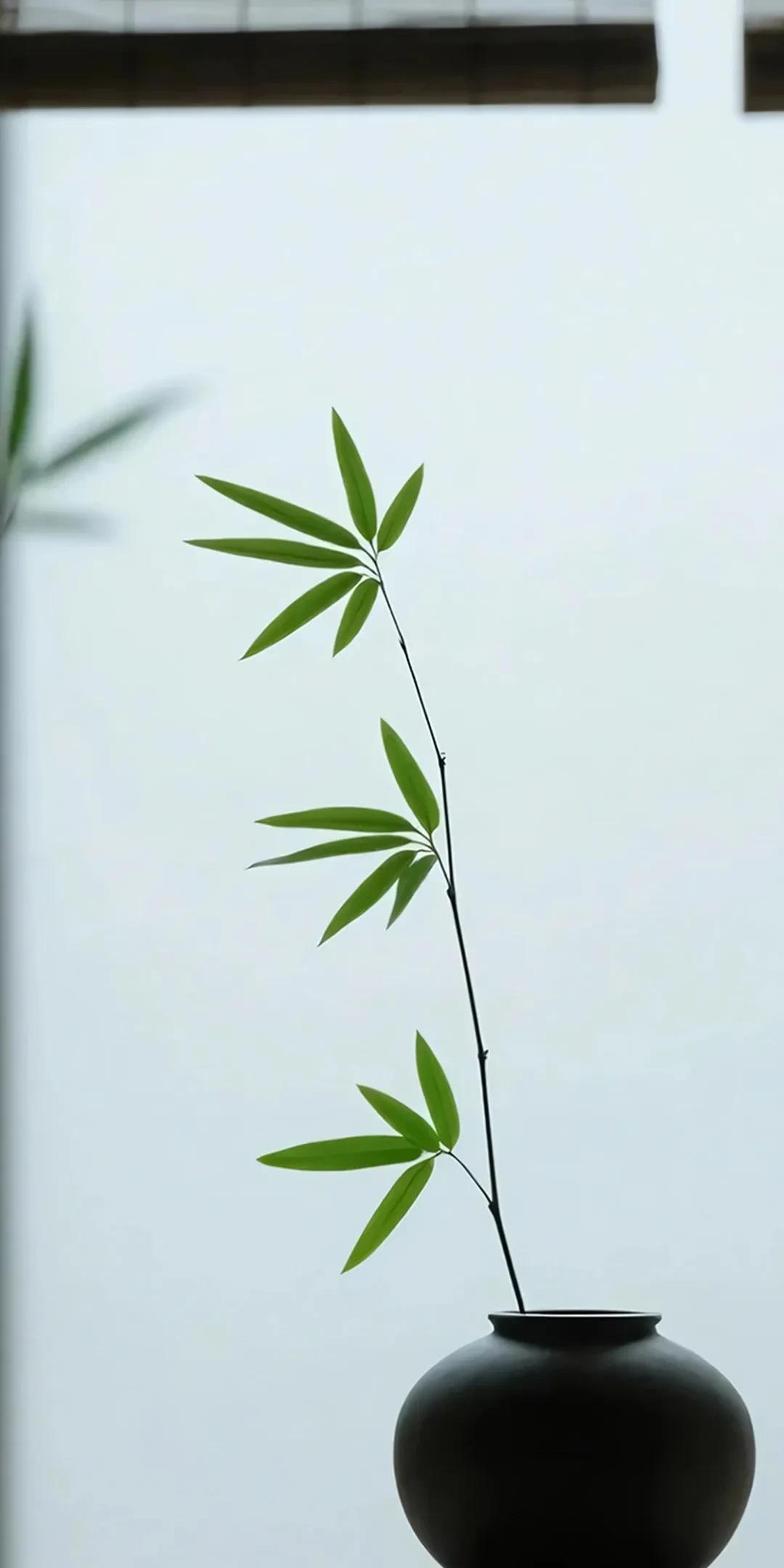 丈夫满头大汗，给82岁“痴呆老娘”进行“社保认证”，喊得那叫一个声嘶力竭！“娘