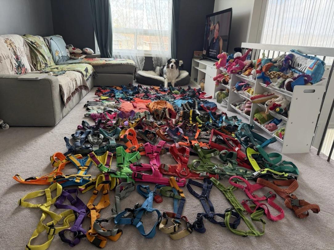 这是它妈给它打下的一片江山！[捂脸哭]