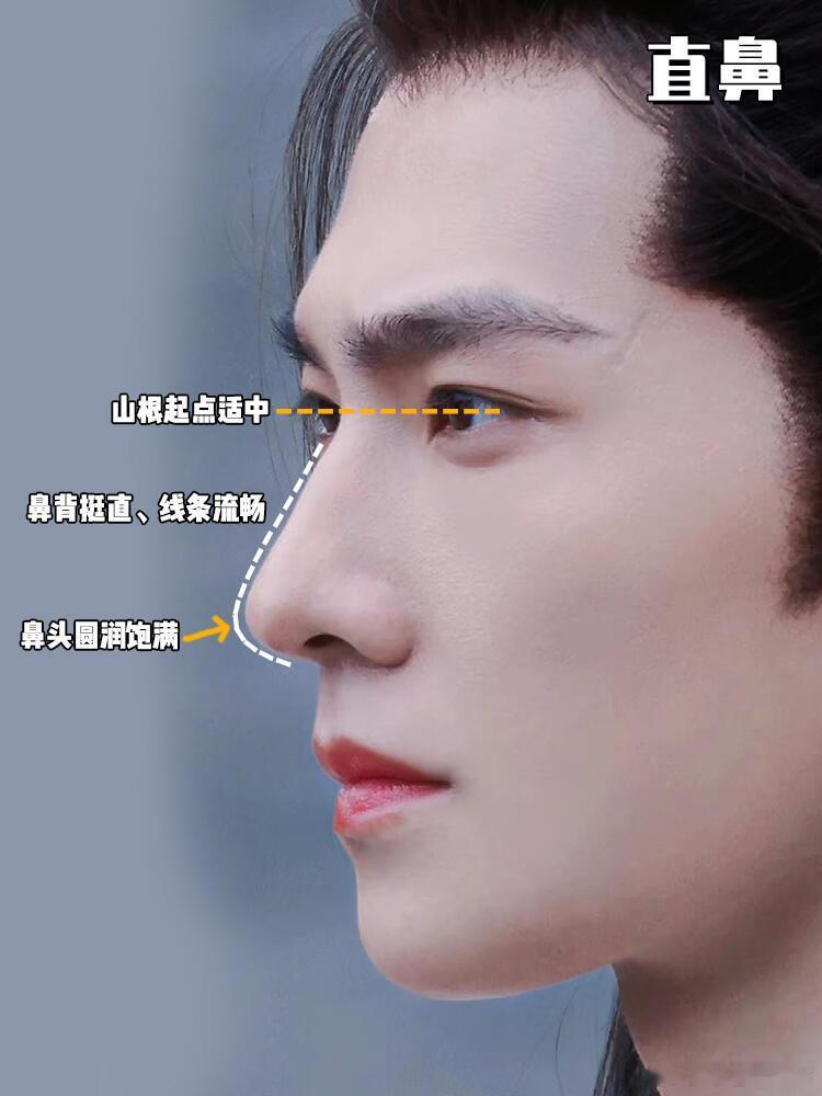 内娱男明星超绝鼻型？天塌下来了有他们的鼻子顶着！内娱男明星名品鼻你最爱哪一款？杨