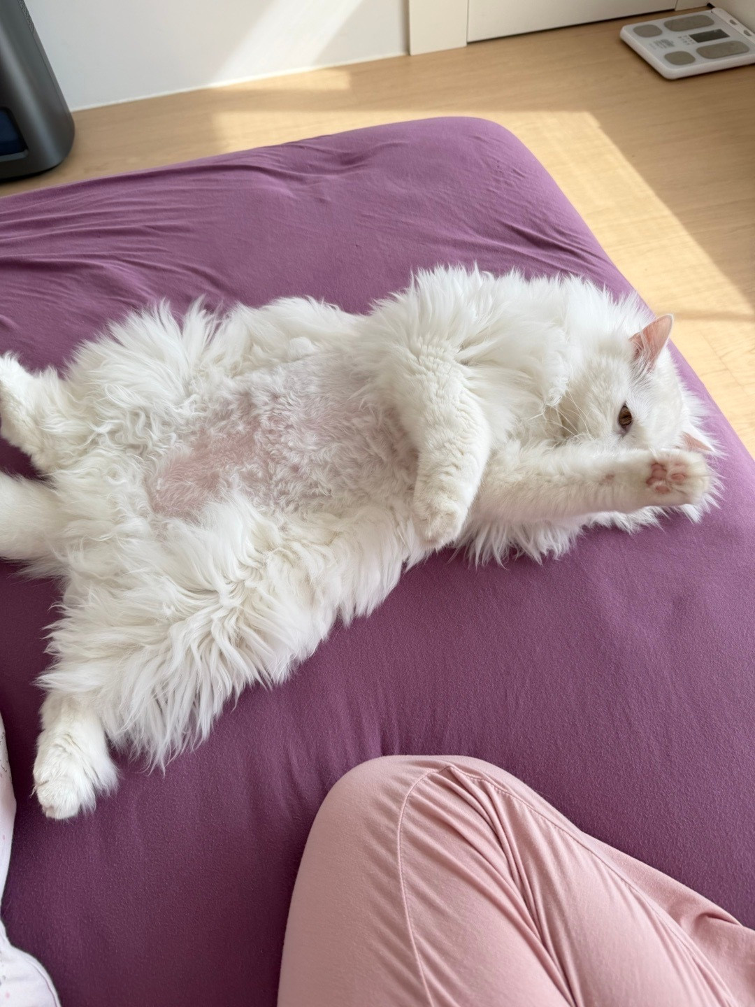 回老家前。回老家后。