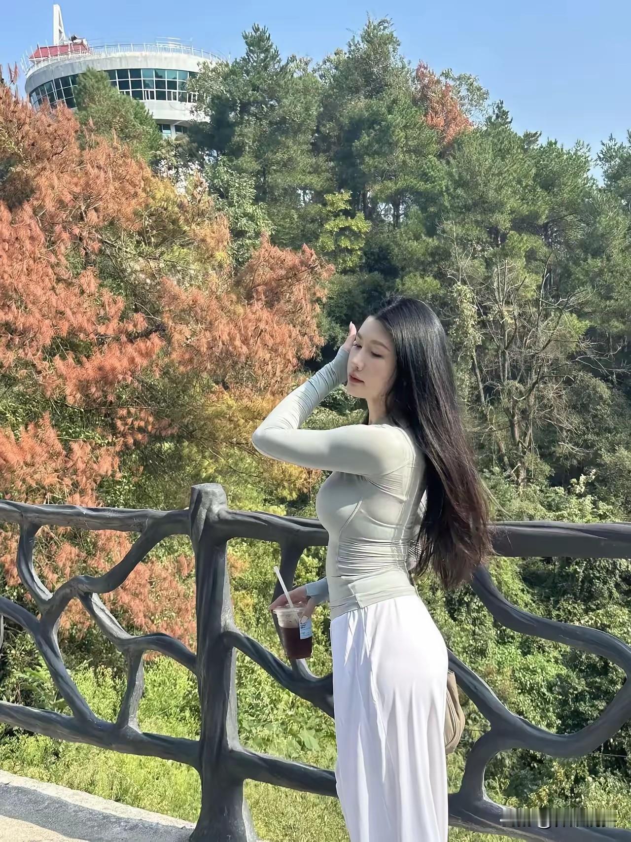 秋日漫步，绿意盎然，享受自然之美。