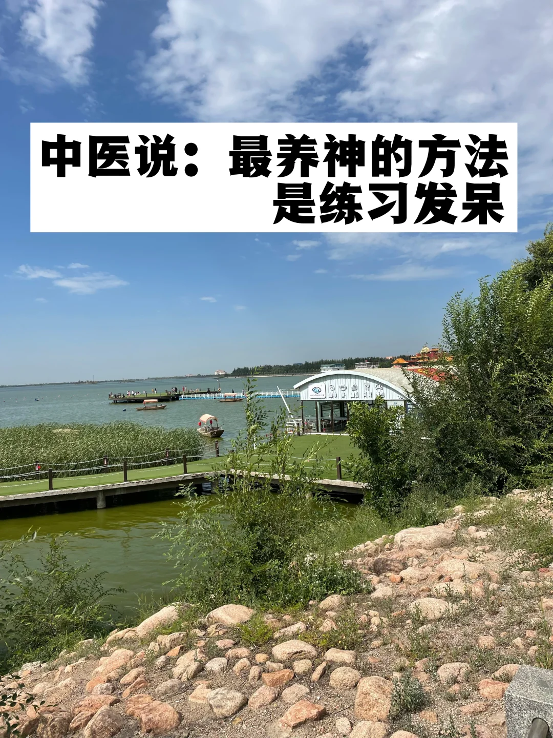 中医说：最养神的方法，是练习发呆.