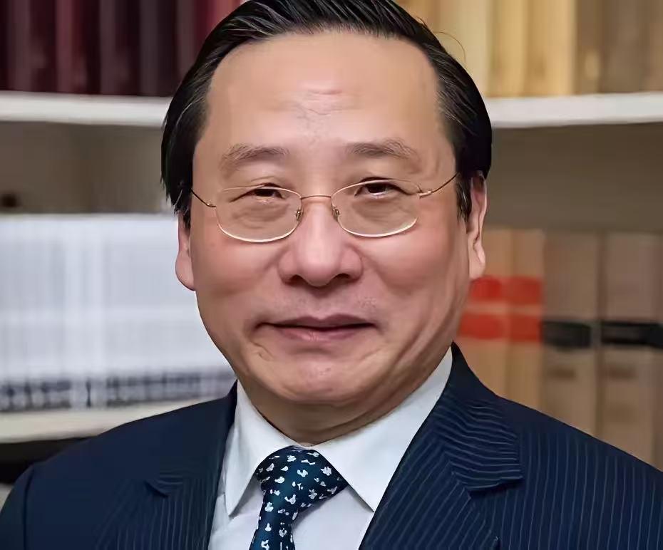 高志凯教授一针见血指出了祖国盲目自信，日本间谍与国内的内鬼暗流涌动。对手一旦搞偷