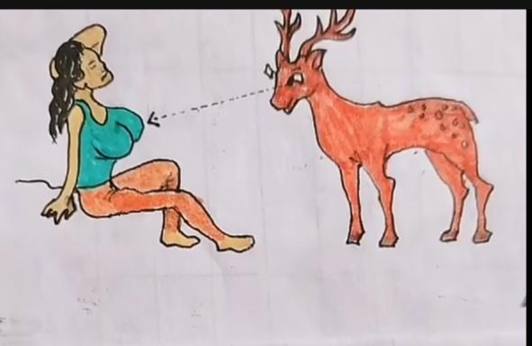 〔看图猜成语〕图中画面真有趣；小鹿专瞅美少女；瞅着瞄准一条线；恰当成语是