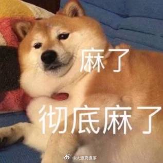 TES369以前听到369要跑路我会笑，现在我会求你别走，你走了我们吃什么啊？