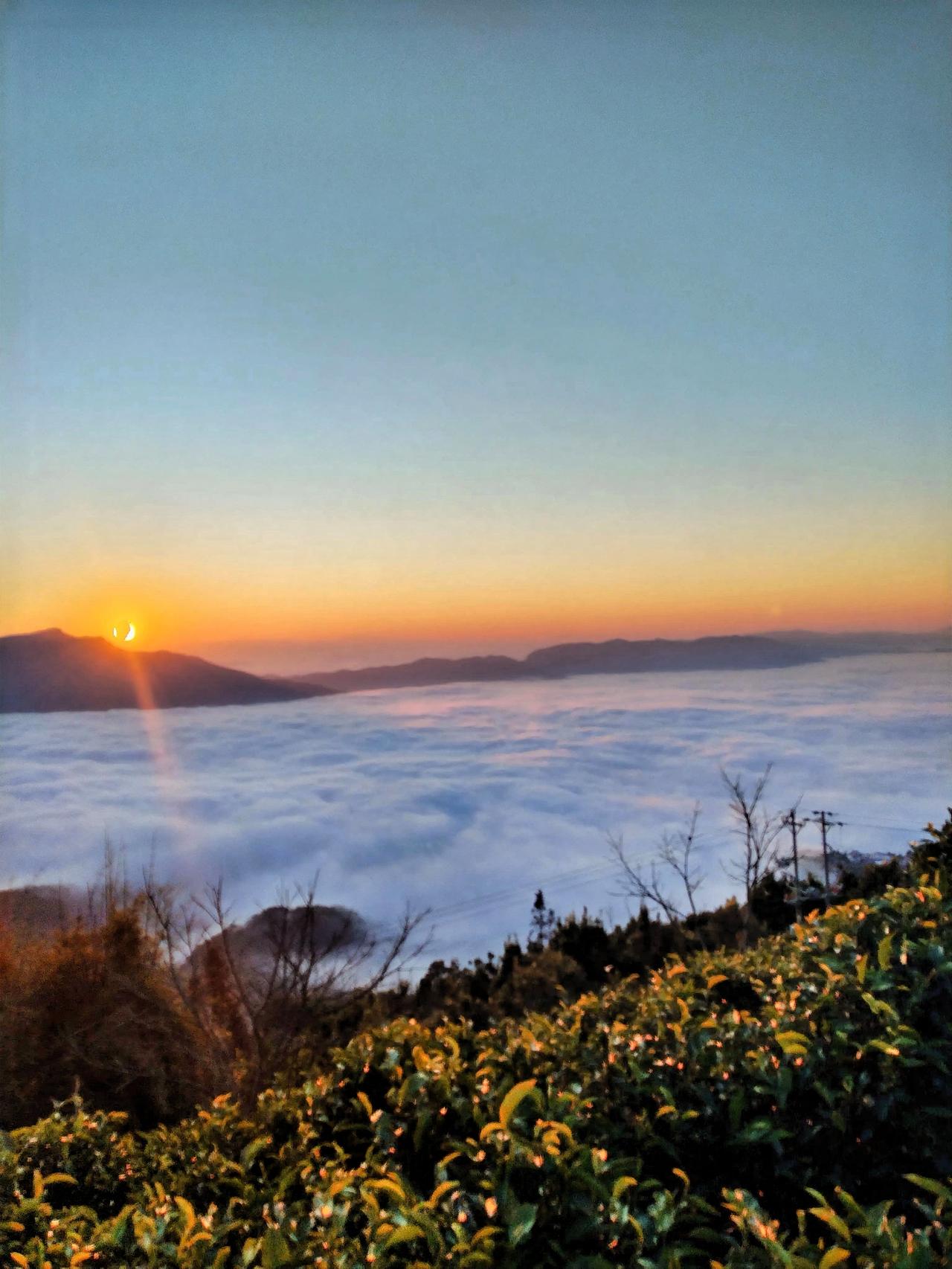 日出云海间，茶园绿意浓，帮东昔归茗茶这里的日出宛如一幅绝美的画卷，金色的光辉洒在