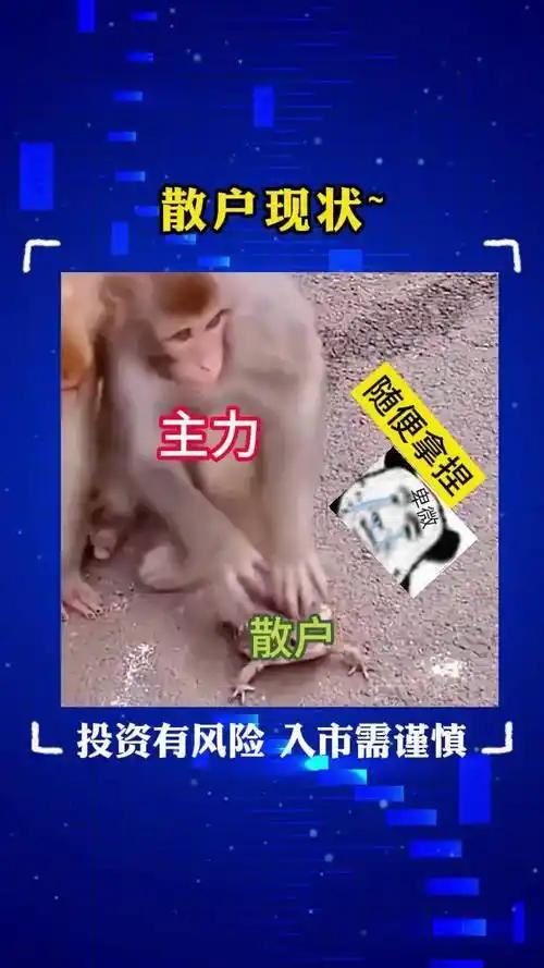 主力拿捏散户有的是办法A股市场中，主力拿捏散户是常见现象。不少散