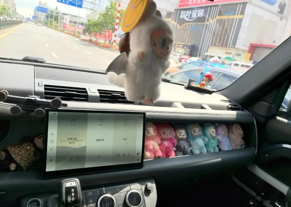 放车里，不会化掉吗，大夏天的[捂脸哭]​​​