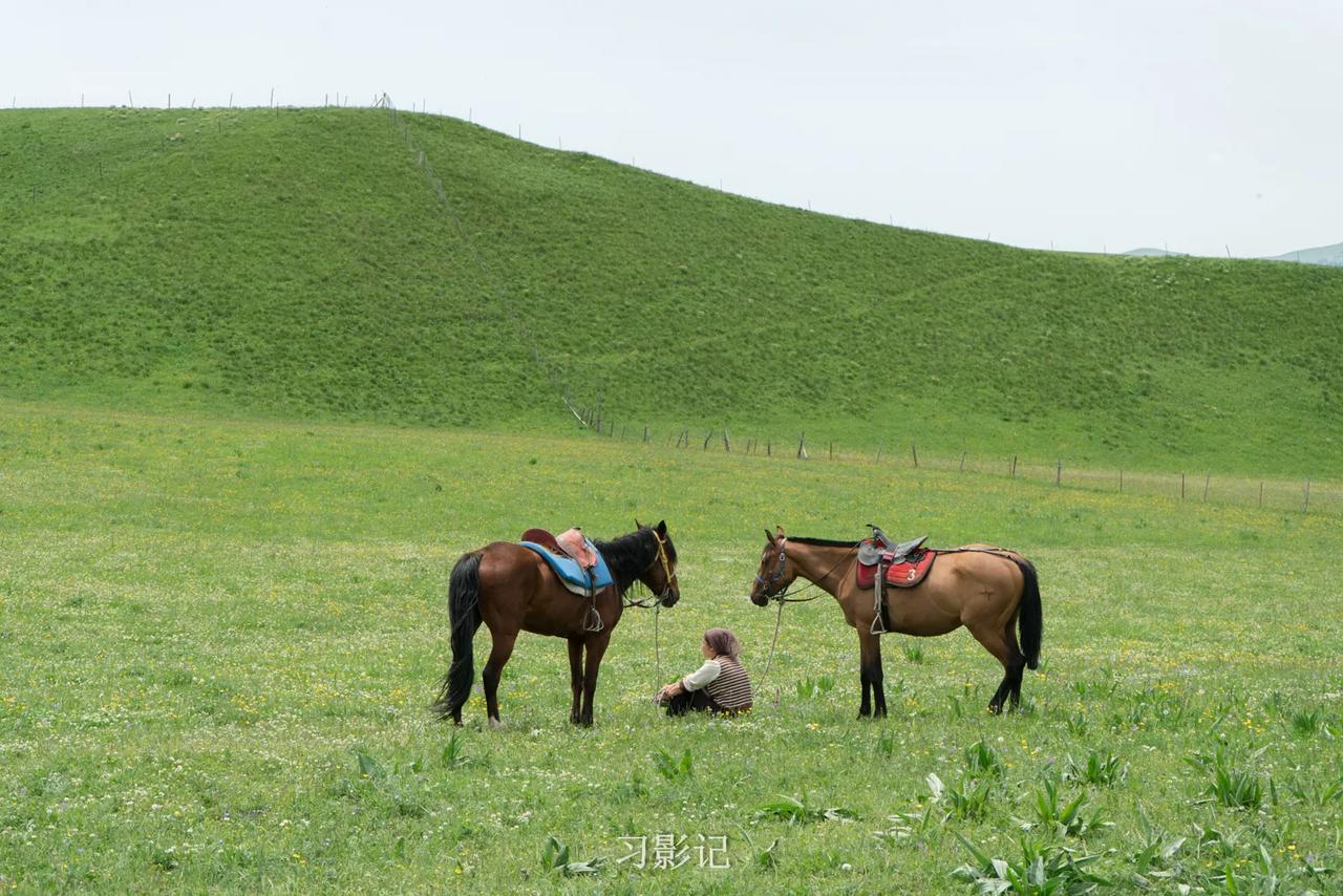 从伊宁到昭苏，去夏塔，这条伊昭公路非常美，我一路上不停拍拍拍，个人认为比独库公路