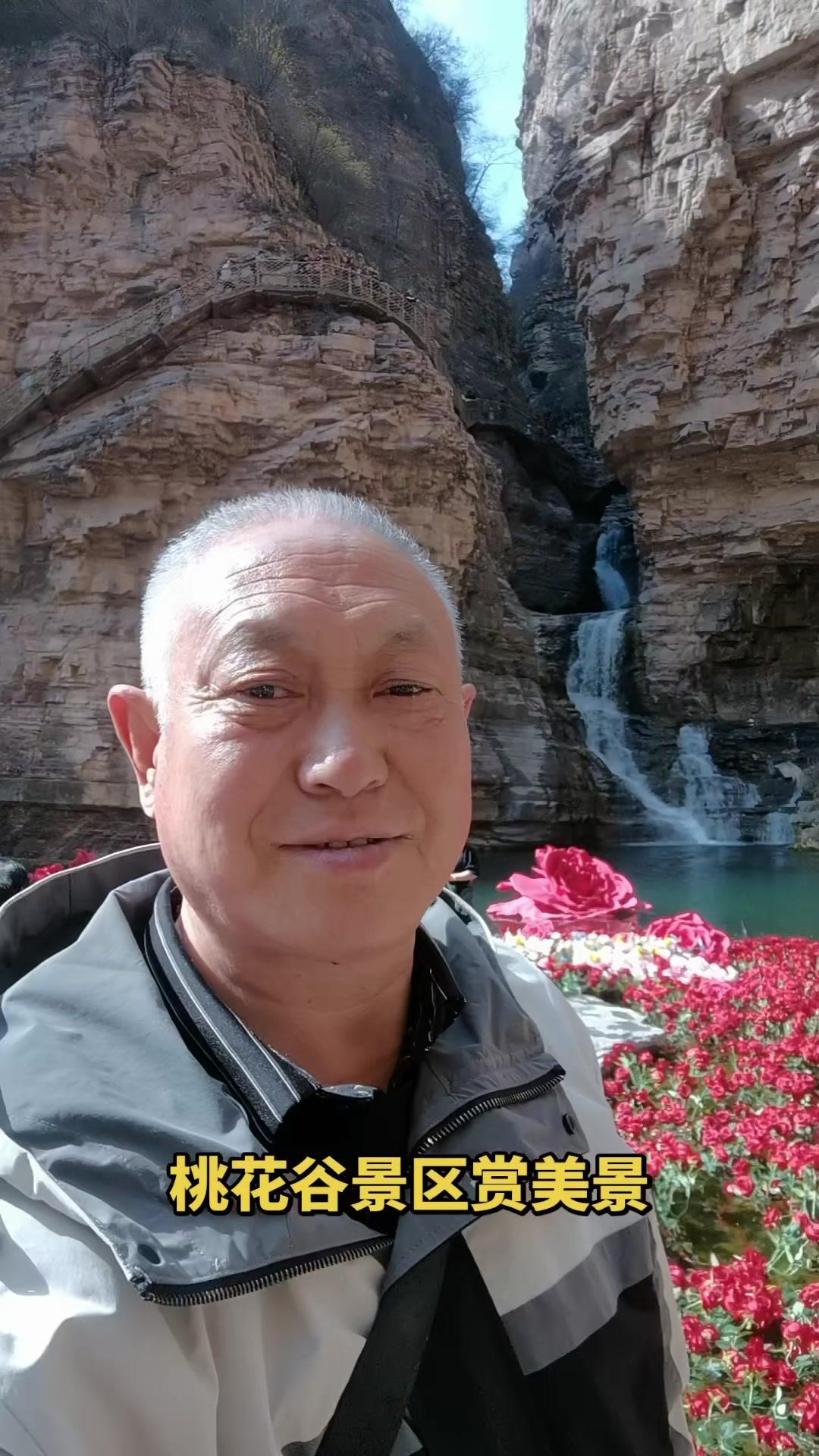 春暖花开，约上好友去了安阳林州太行大峡谷桃花谷，漫山桃花盛开的美景真的太治愈了～