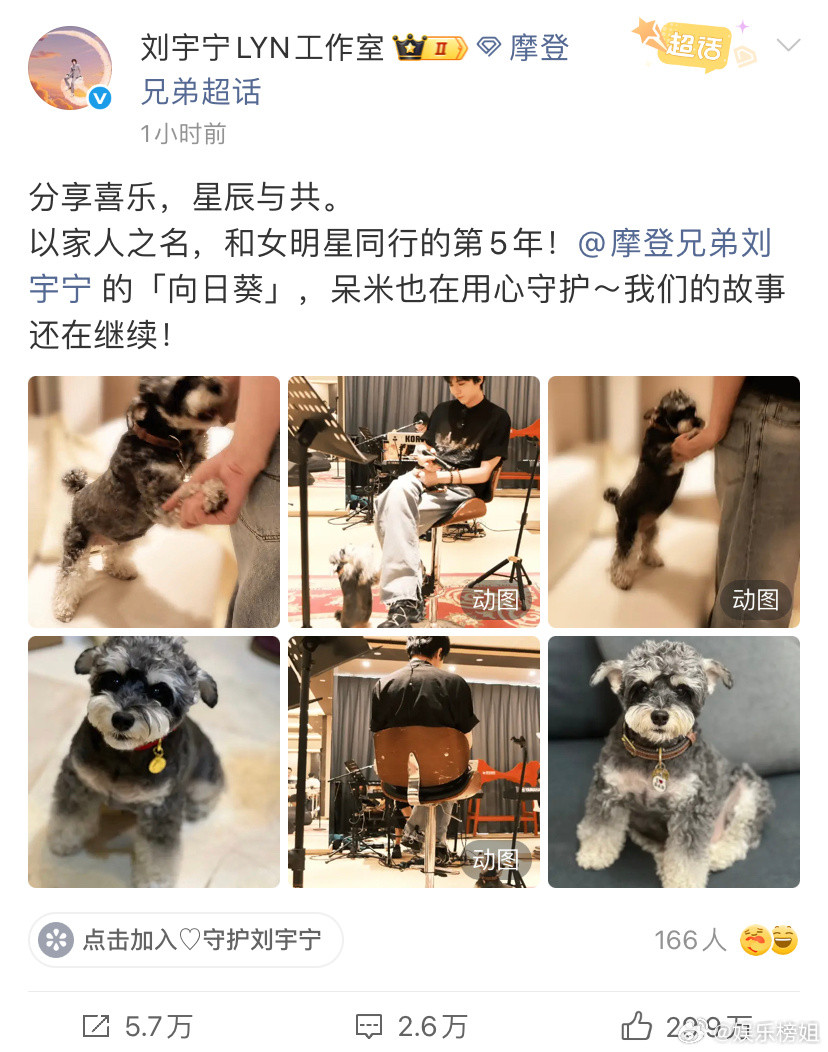 刘宇宁和女明星呆米同行的第5年刘宇宁和女明星同行的第5年，祝呆米到家五周年快乐?