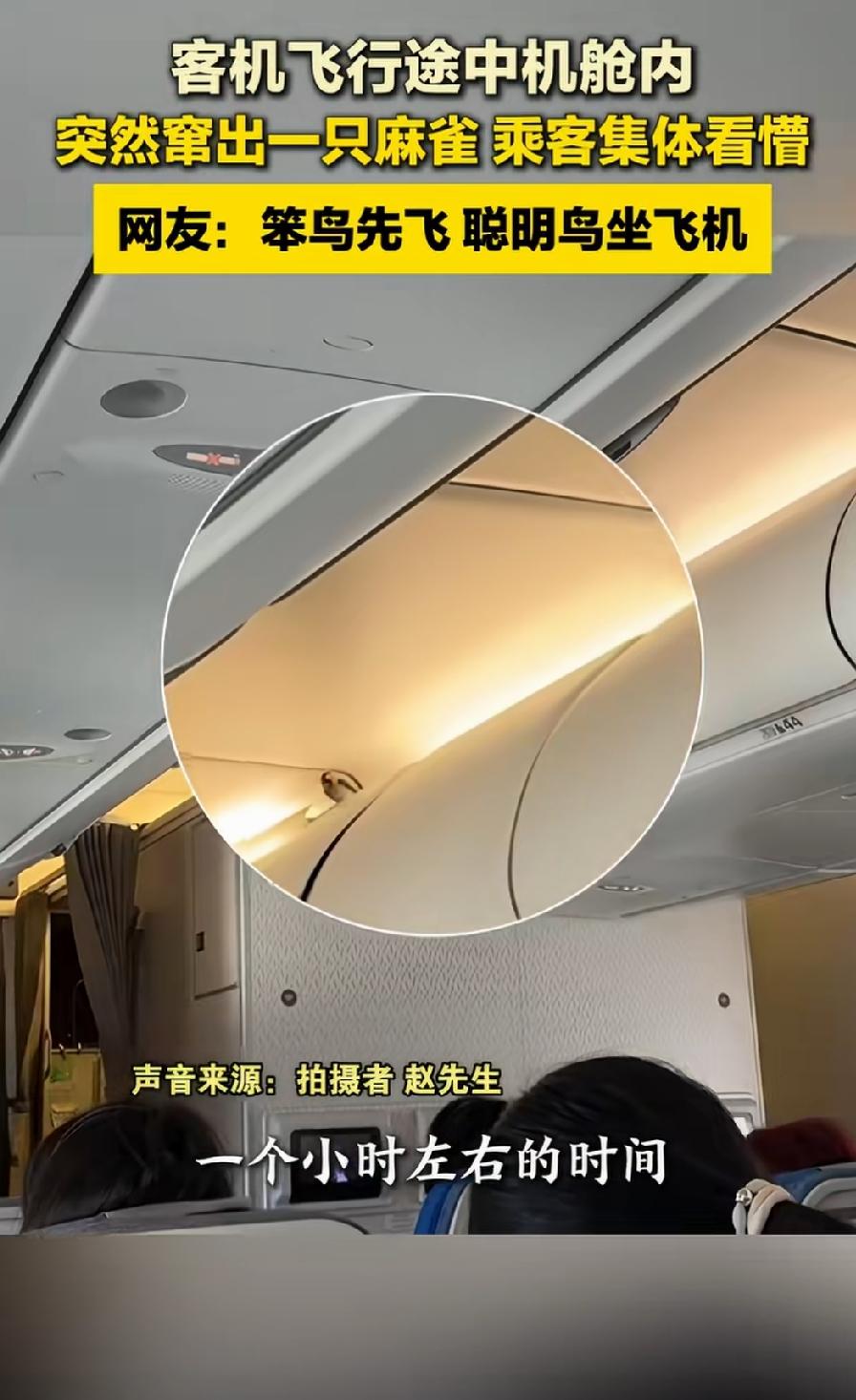 没想到吧？我也没想到，飞机上的旅客也都没有想到，飞机飞着飞着，机舱里竟然飞出来一