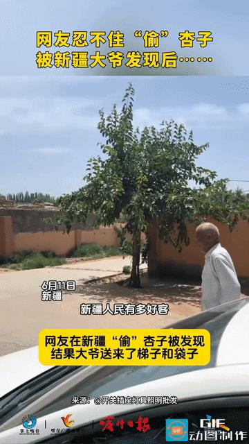 笑岔气了！男子去新疆旅游，偷吃大爷家杏子，不料，被大爷发现，本以为大爷会骂人，没