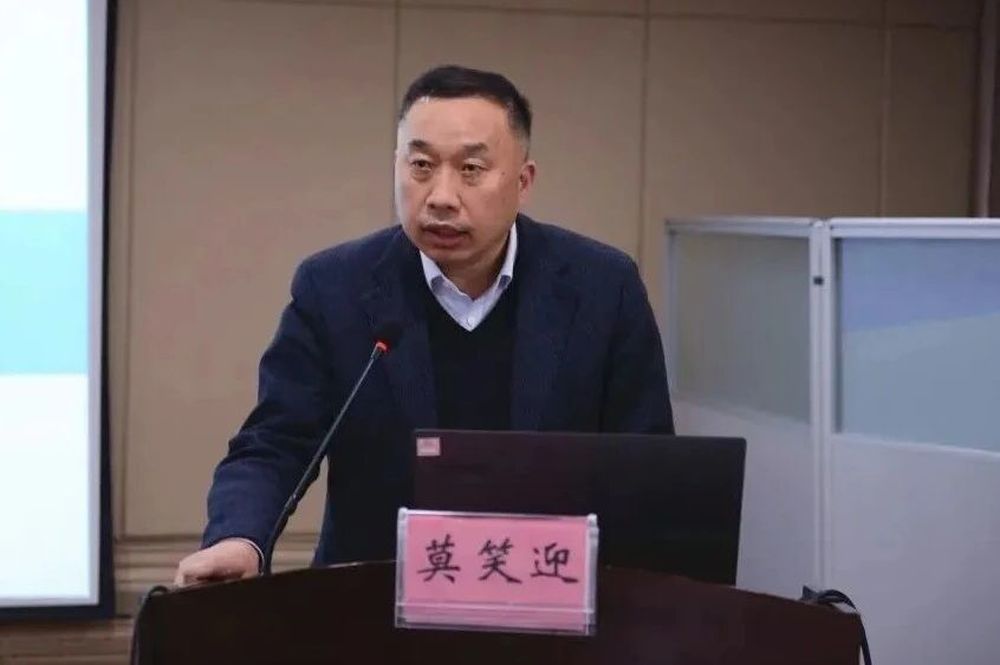 副院长莫笑迎, 被查