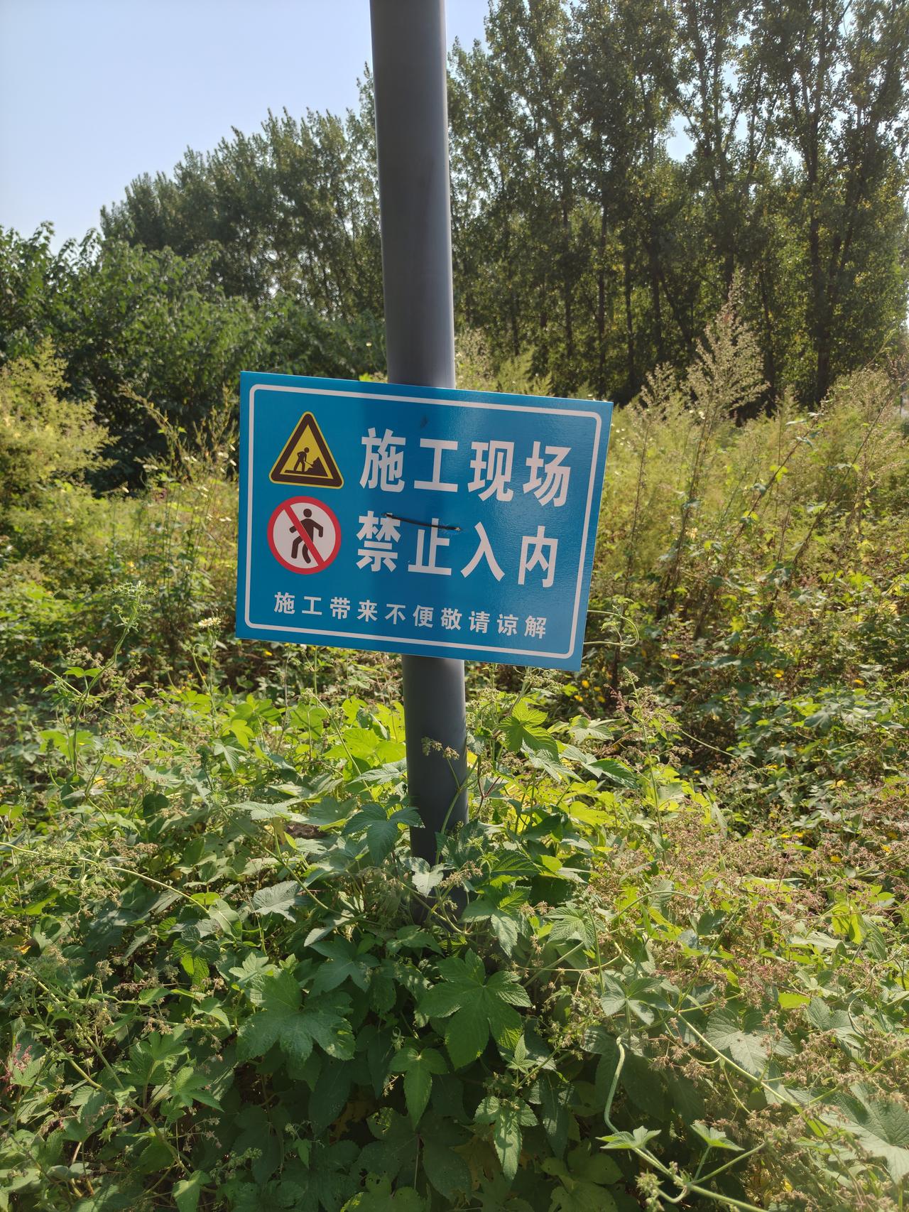 淄川这个公园内部道路正在改造提升！因道路年久失修，造成路面凹凸不平，有一定的