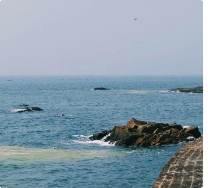 青岛隐秘海岸线大揭秘！燕岛秋潮奇观竟藏在这座免费公园，山海绝景秒杀网红打卡地！