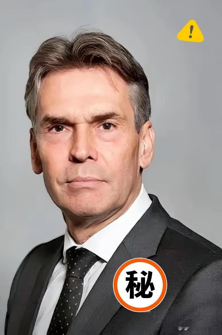 猝不及防荷兰政府宣布了​​2025年10月12日，闻泰科技的公告一下就让半