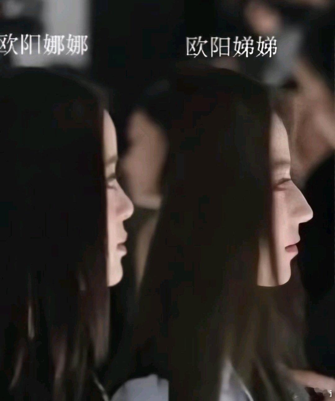 欧阳娜娜的脸真的很神奇，侧脸毫无清晰轮廓线，比欧阳妮妮虐多了，但正脸却出奇好看，是欧阳三姐妹中最好看