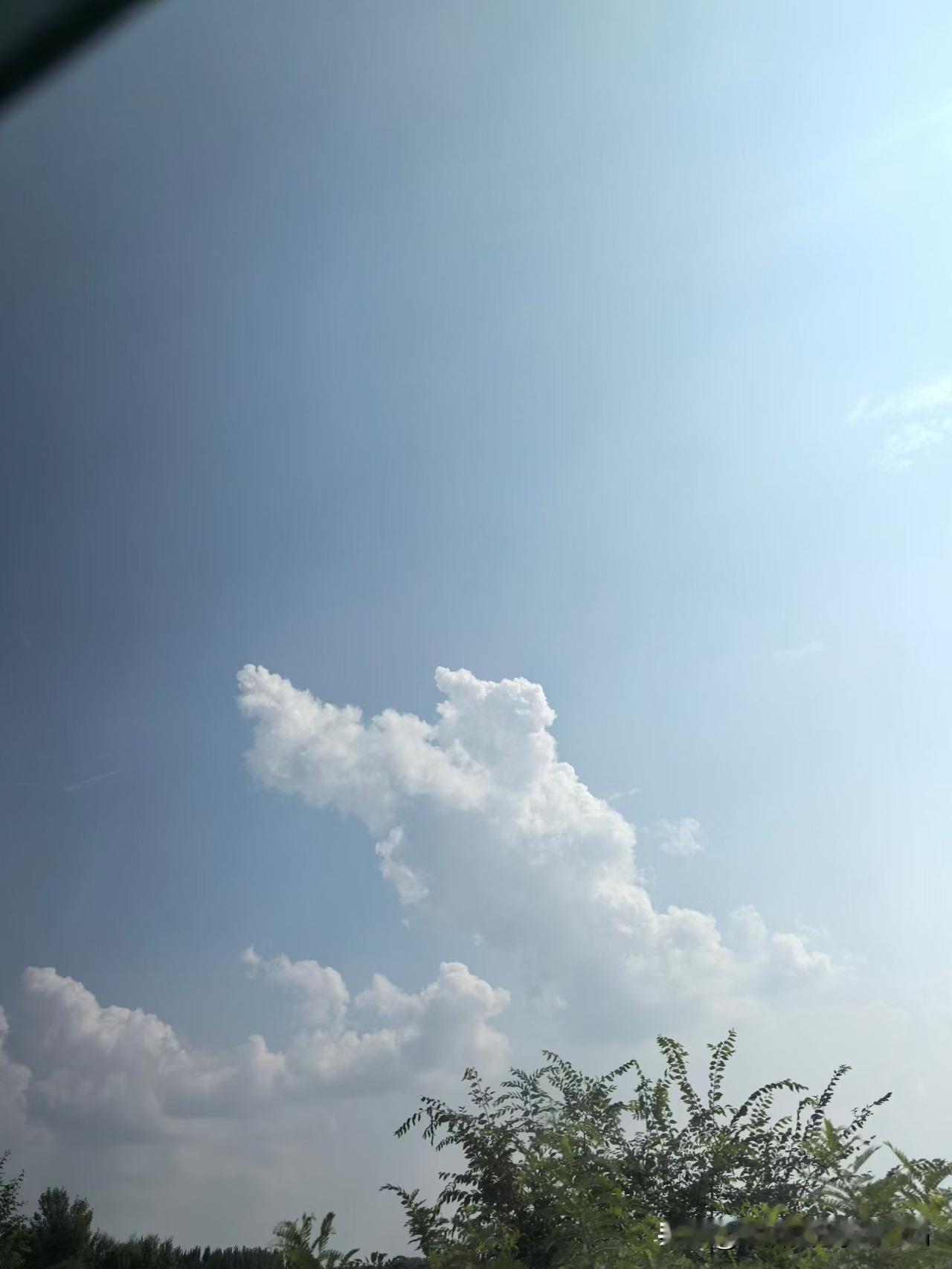 散步才是真正的“长寿第一运动”！研究实锤：比跑步、撸铁都管用！刚看到一个研究