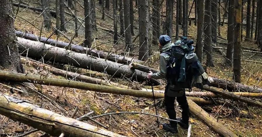 据乌克兰国家边防局称，白俄罗斯目前已成为逃离乌克兰的适龄动员男性最热门的目的地。