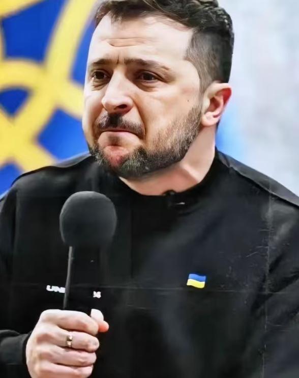 乌克兰议会，又投票了。330票赞成。几乎全票。当地时间2026年1月14日，