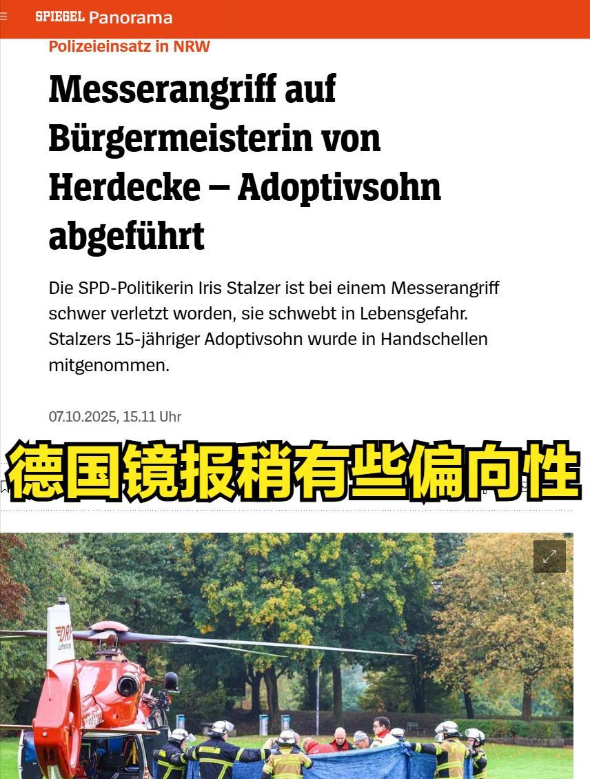 可是光天化日之下啊，德国今年的风气真是越来越不对劲了。德国多家媒体关注：赫尔德