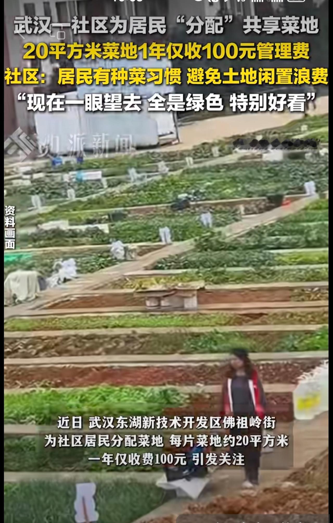 10月16日报道，武汉一社区为居民分配共享菜地：原为城中村，居民有种菜习惯，避