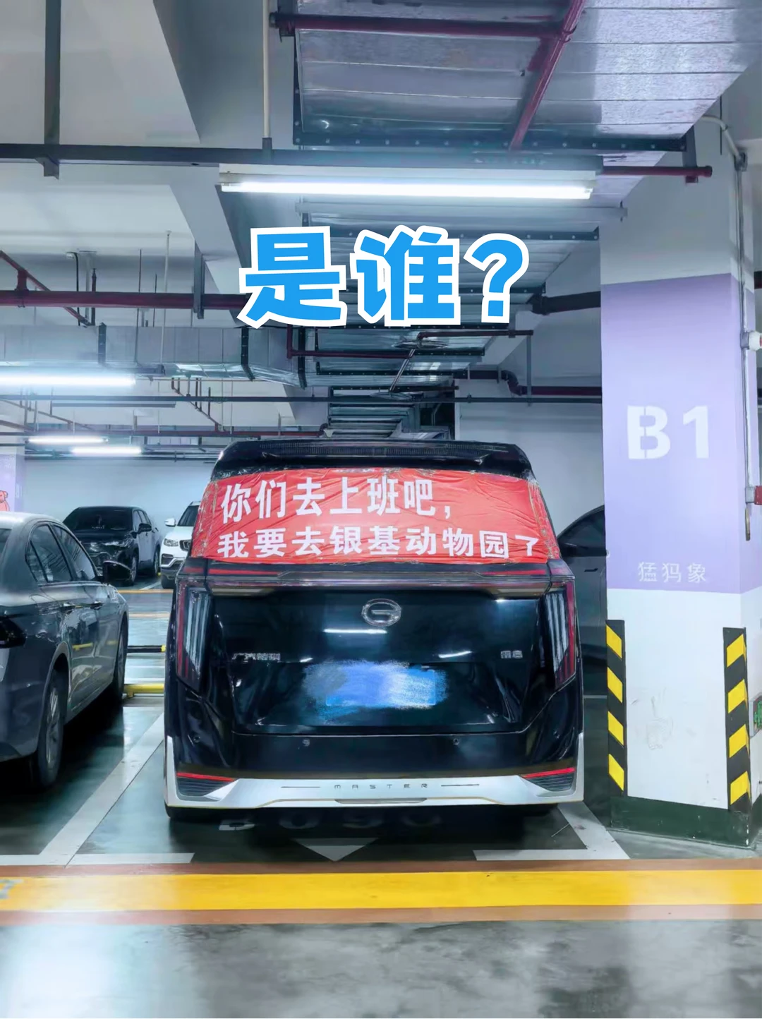 工作暂停!🖐️我来捞俩人！