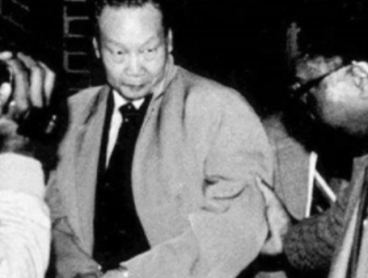 1985年，由于叛徒的出卖，中国最厉害的特工金无怠在美国被捕，为了保住国家的秘密