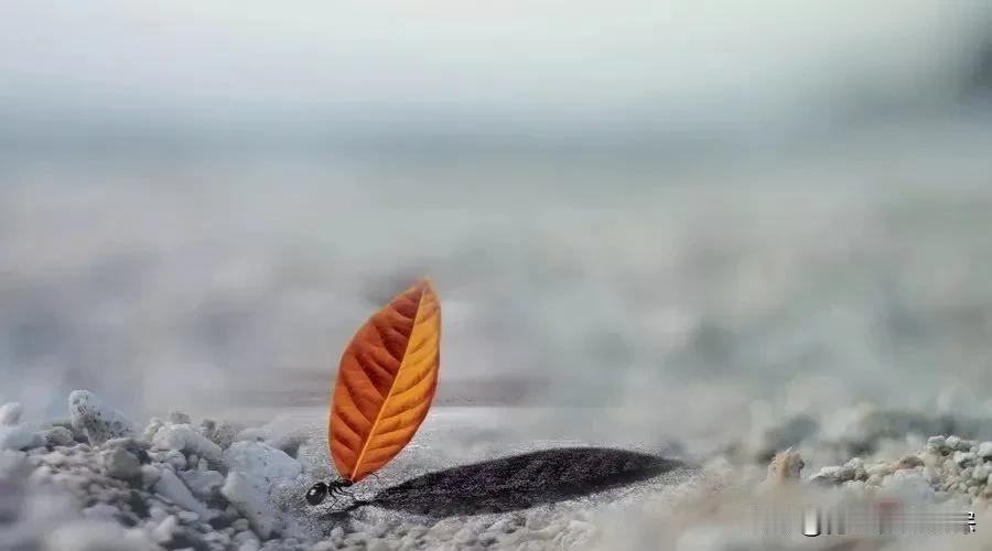 一天，一月，一年，一生：人活一辈子，最该看透的3个真相人这一辈子，说长也长