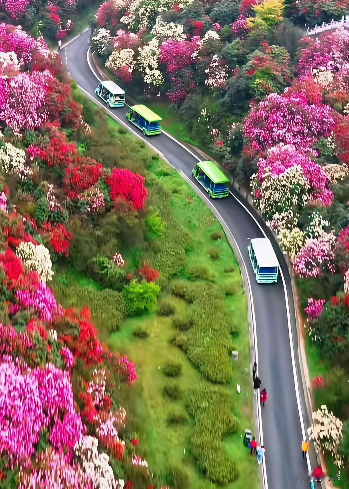 赏花莫“伤花”：文明观景才是最美风景1. 赏花是审美，践踏是失德春天的花