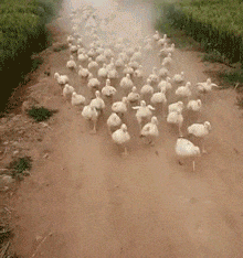 搞笑GIF: 老板有人来砸场子了, 是个女的, 砸完场子甚至还卖萌