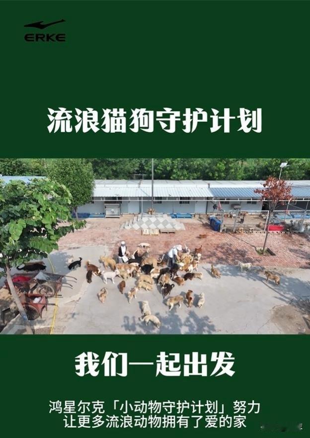 鸿星尔克好不容易立起来的口碑突然搞了个流浪猫狗守护计划哥们问我咋