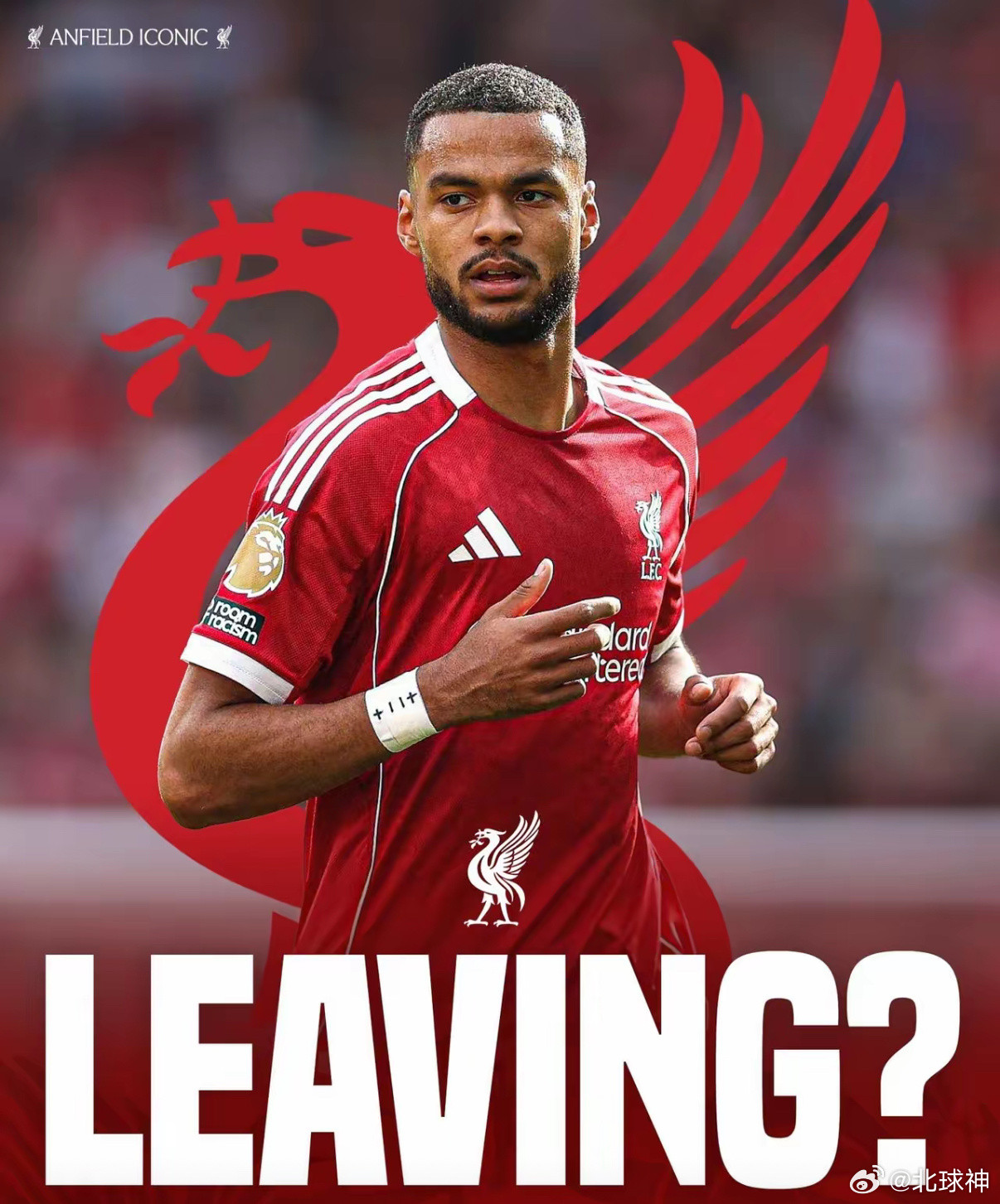 加克波被推向市场，利物浦锋线要洗牌了？科迪·加克波今夏可能离开利物浦的消息正在升