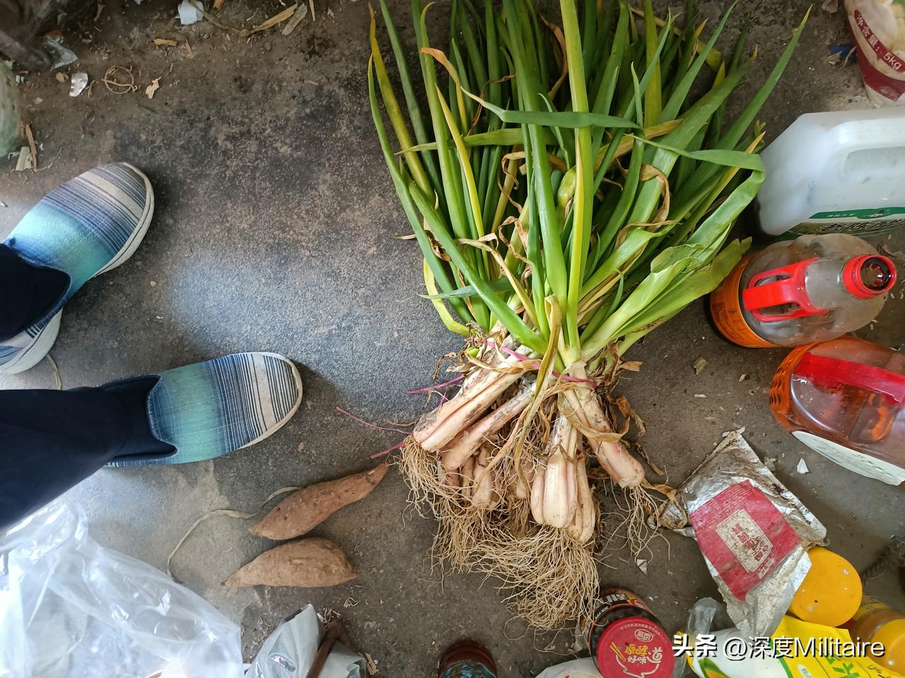 大葱挺便宜，5毛钱一斤，一捆10斤5元，买了这一堆2块钱。