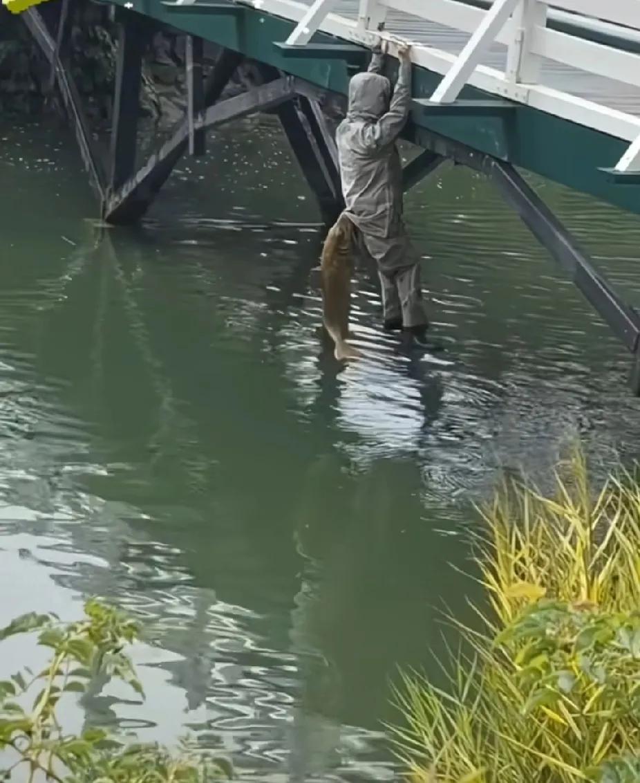 这真不是AI，这个画面太神奇了……鱼跳上来咬人？