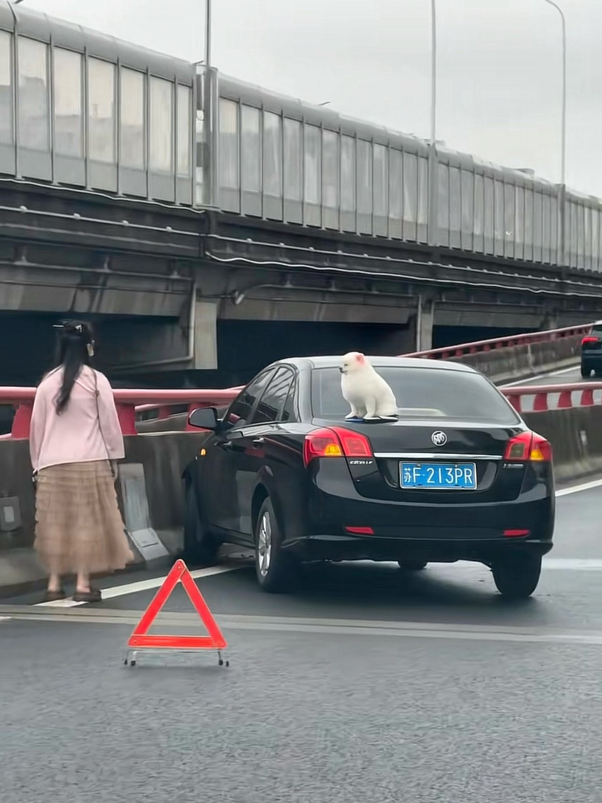 狗子：刚才吓死本狗了，我都不好意思说你了💤​​​