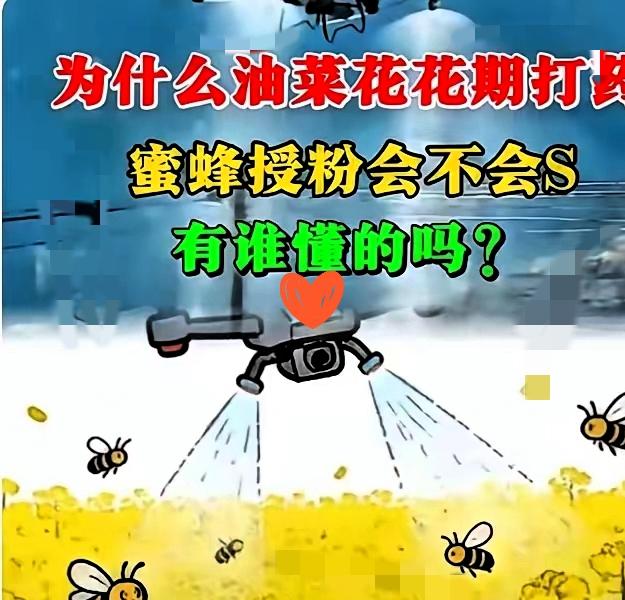 官方回应油菜喷药致蜂农损失惨重！在国际形势非常紧张的情况下。这事绝不简单！​​