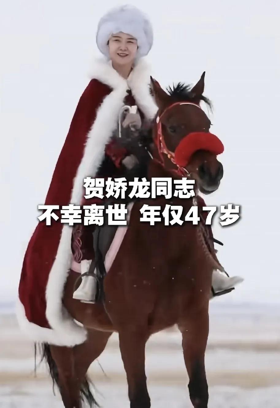 终于明白贺娇龙为什么工作这么拼命查了一下她的背景就震惊了，原来她是汉族，籍贯