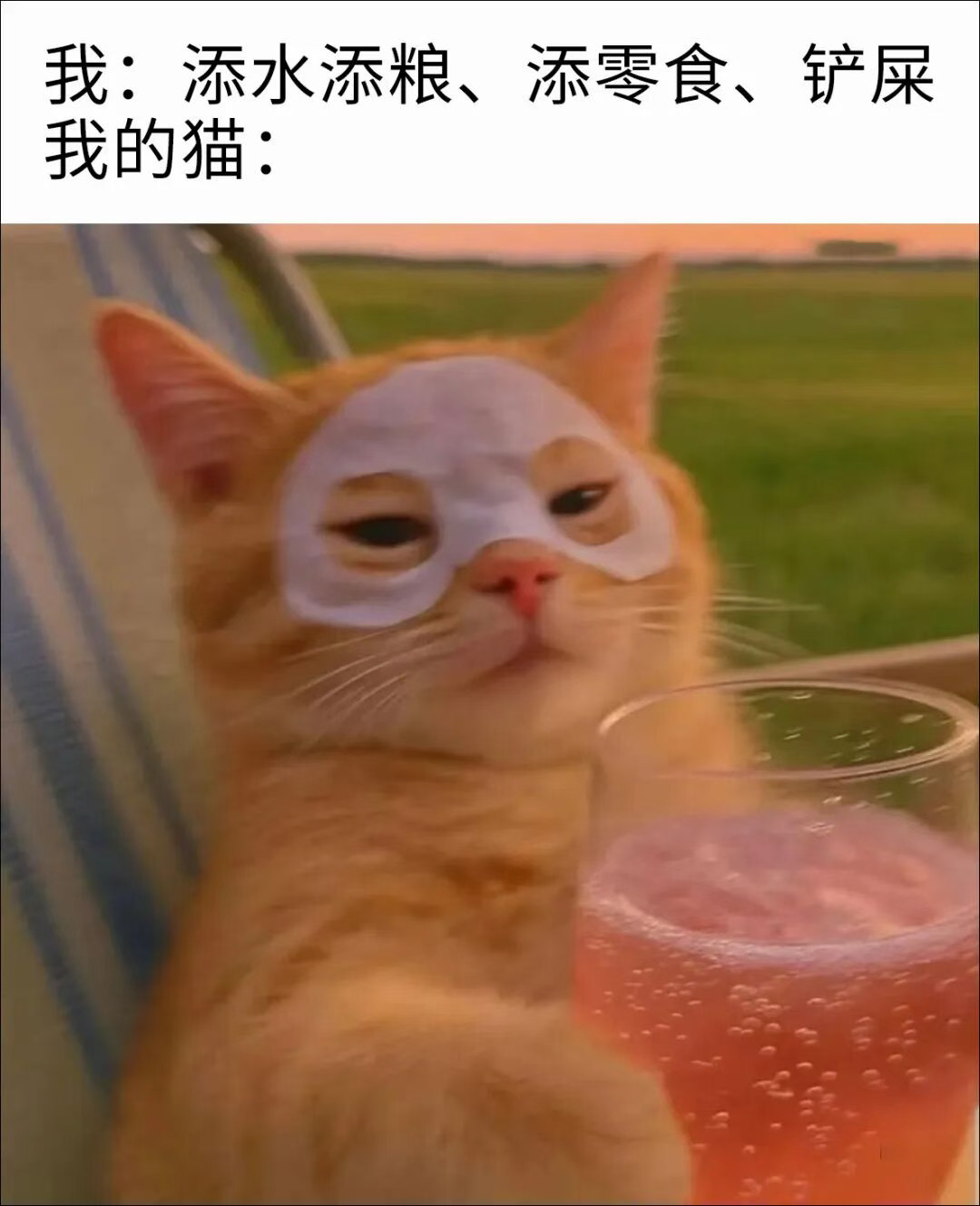 嗯服务不错memes​​​
