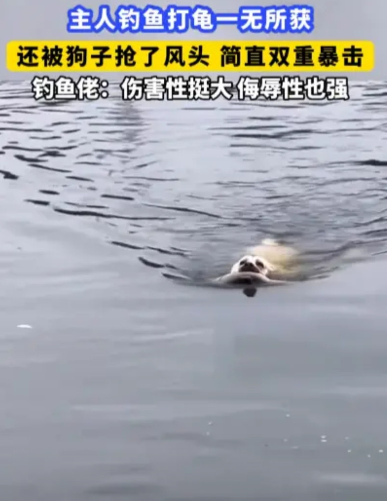 重庆，一钓鱼佬带着狗狗去钓鱼，结果蹲了一整天，一条鱼也没钓上来，最后狗狗实在看不