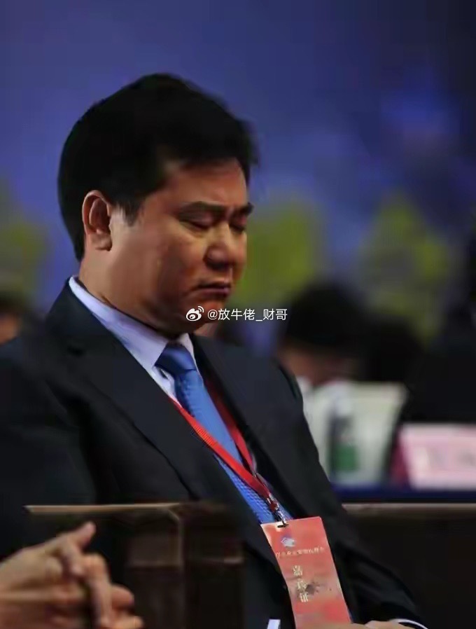 什么叫大梦一场？看张近东的故事就知道了，白手起家，做到了曾经的线下零售之王，千亿