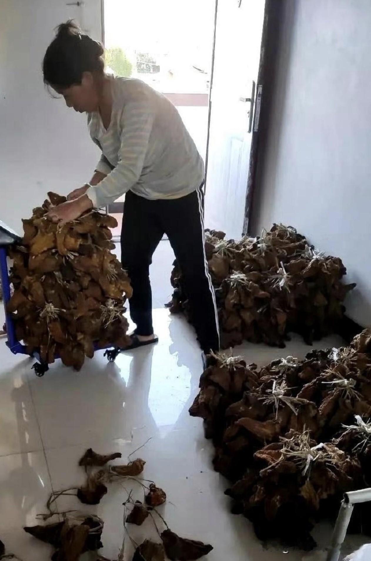 这才是真正的大户人家啊！