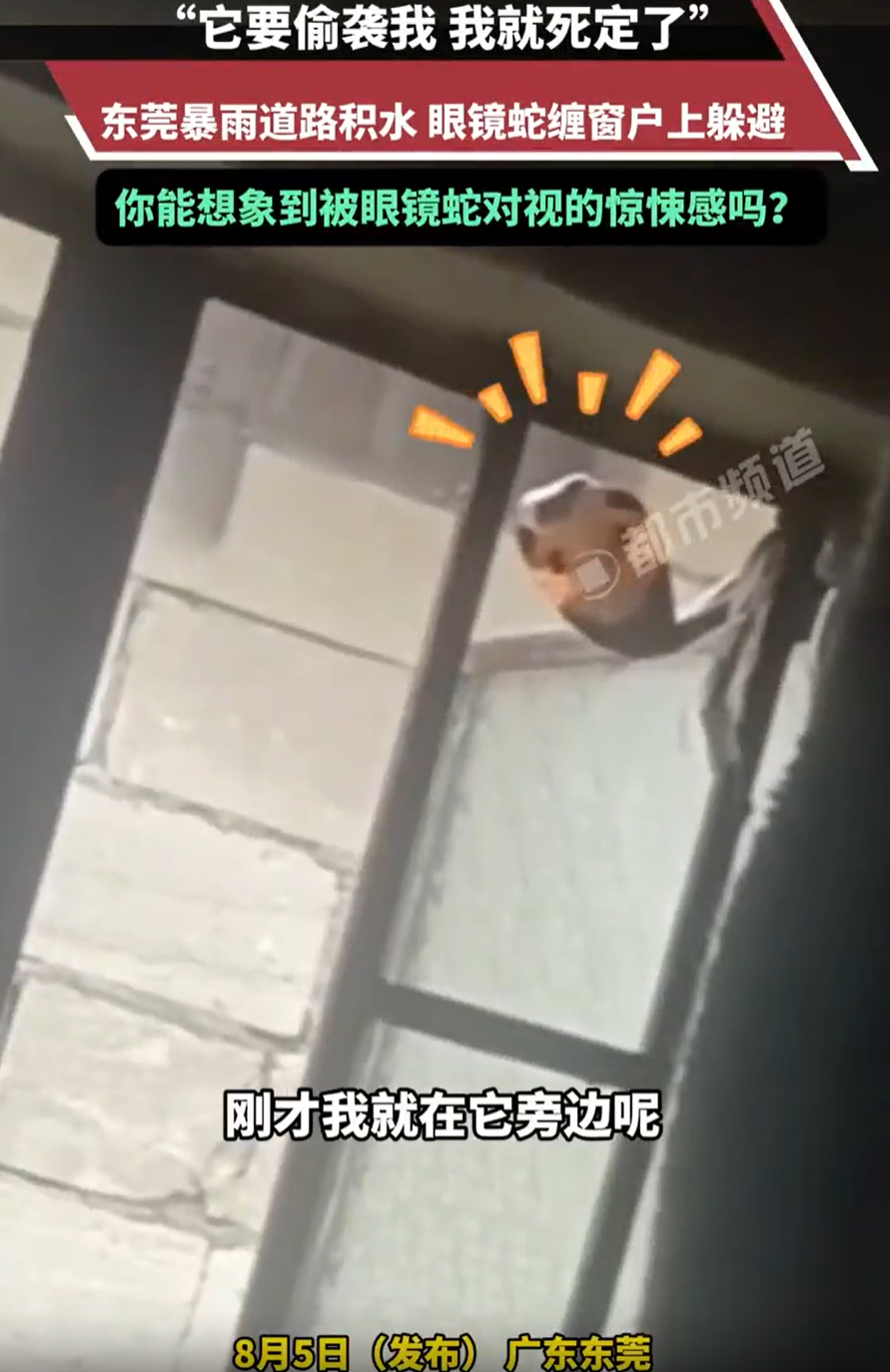 “太吓人了！”广东东莞，外面下暴雨，男子站在窗边望风，偶然用余光扫到窗户上面好像