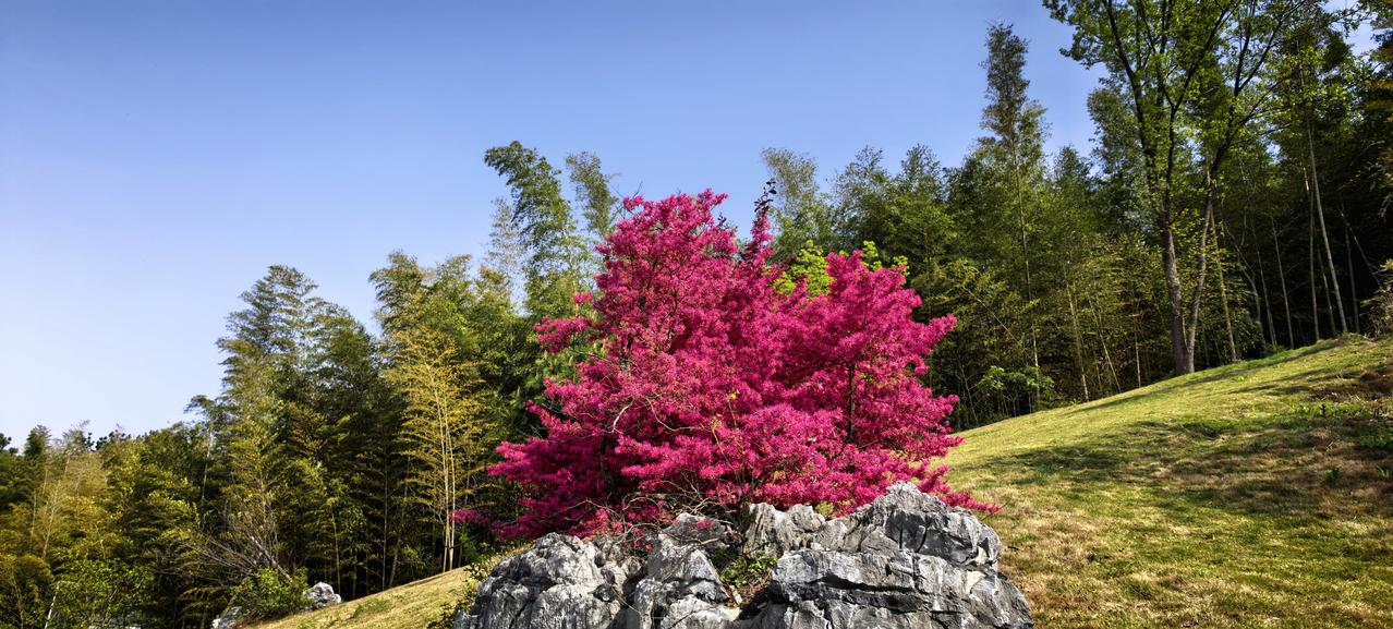 以前小旅社非常便宜，只让你睡觉早上稀饭、馒头咸菜。后面客人要求高了，酒店就要配电