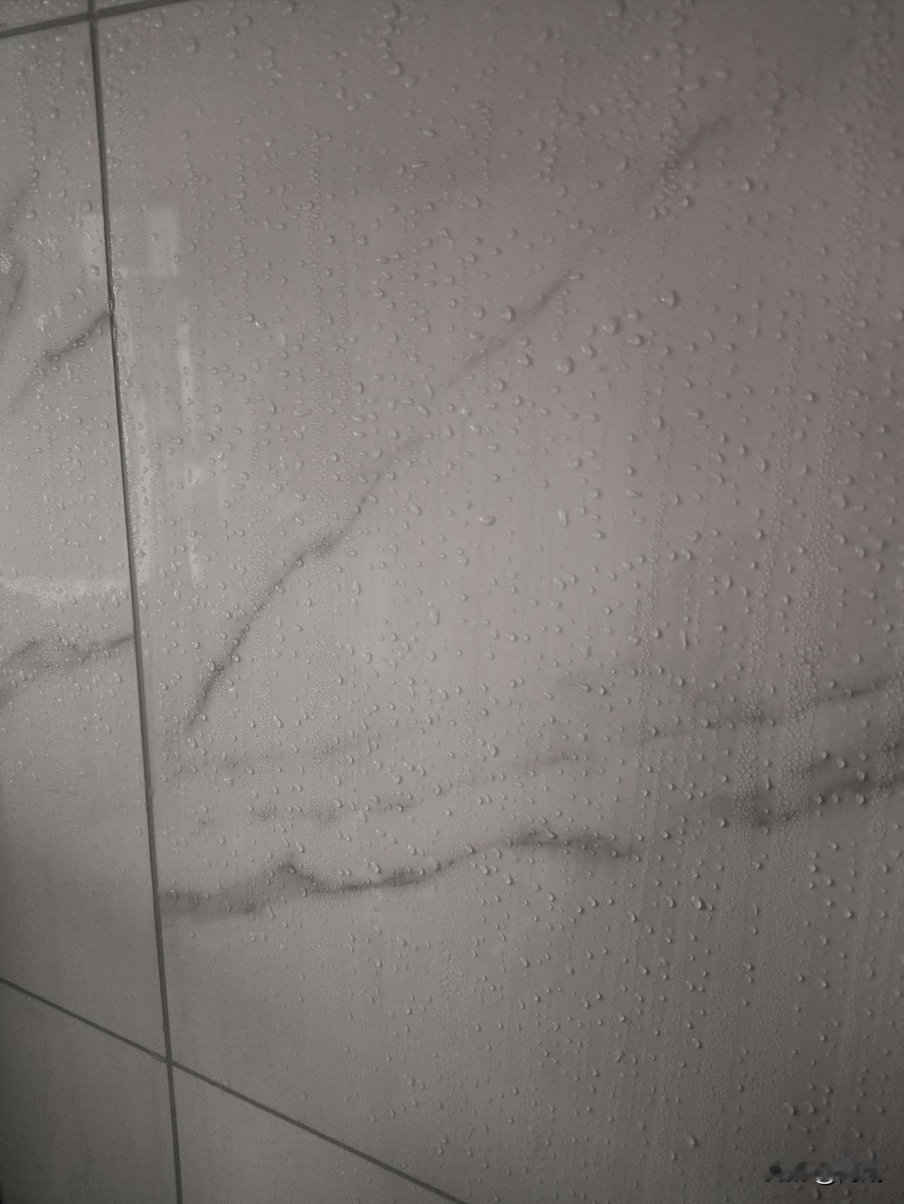 这两天遇上回南天，实在让人难受。早上醒来，卧室里还算安稳，把门窗关得严实，湿气