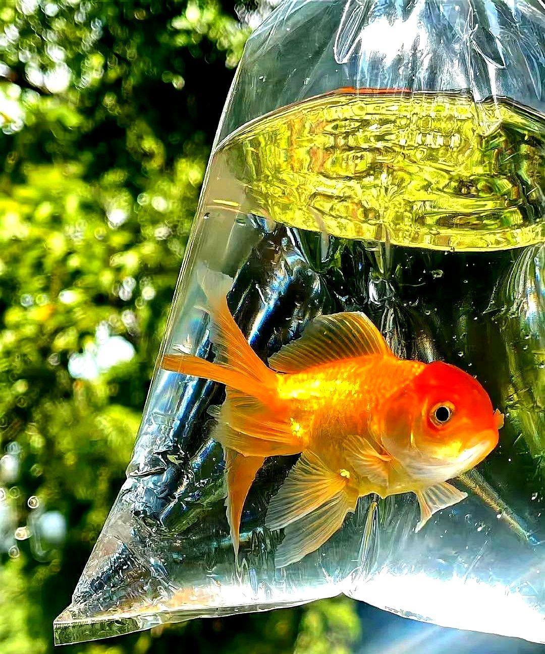 朋友的姑姑是我们那县医院里的护士长，年轻时长得漂亮，追求者很多，她挑来挑去，总觉