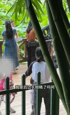 女儿奔跑，撞到正在拍摄荷花的摄影师身上，相机掉在地上，女儿哇哇大哭，妈妈走过来对