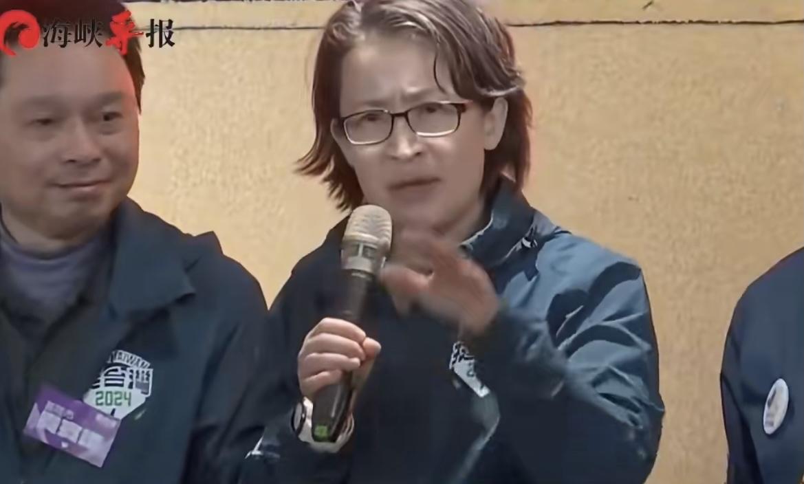 该出重拳了，杀一儆百！“台独”分子萧美琴太猖狂了，公然在欧洲会议大楼进行“台独