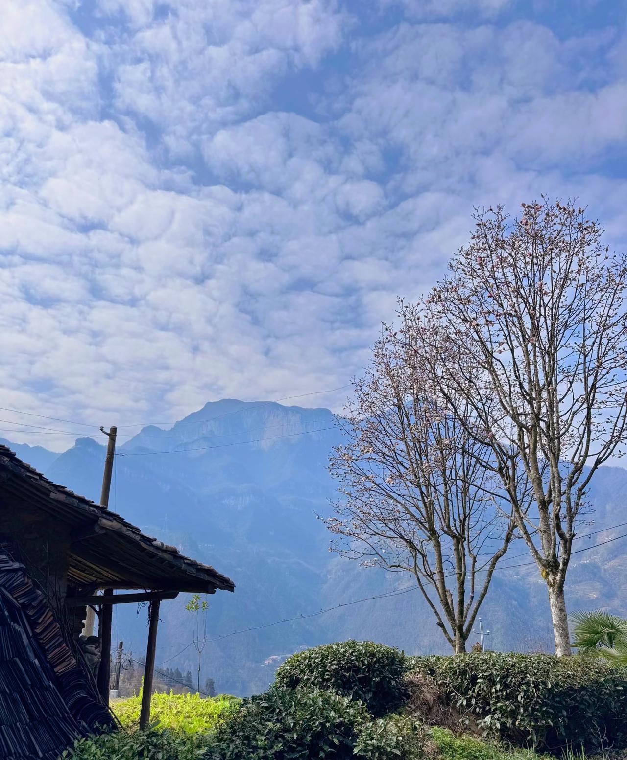 男人这辈子最深的醒悟：人性现实：除去老婆皆是江湖，没人盼你夫妻和睦，都在等着看你